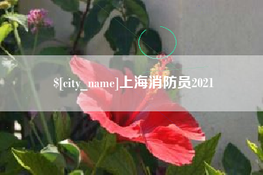 驻马店上海消防员2021