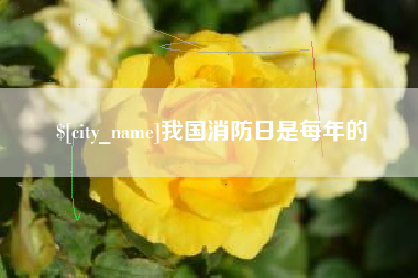 驻马店我国消防日是每年的