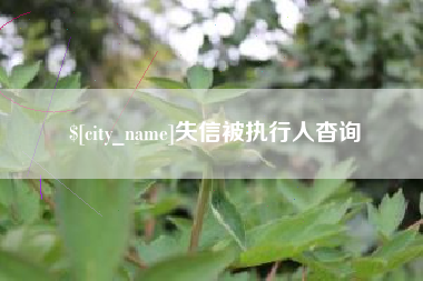 驻马店失信被执行人杳询