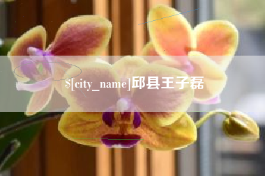 驻马店邱县王子磊