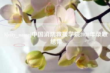 驻马店中国消防救援学院2020年录取结果