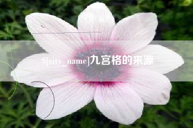 驻马店九宫格的来源