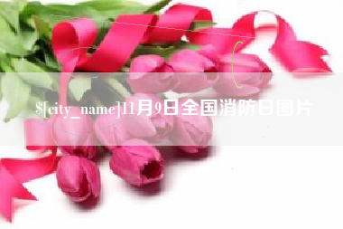 驻马店11月9日全国消防日图片