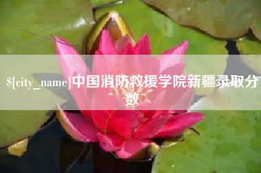 驻马店中国消防救援学院新疆录取分数