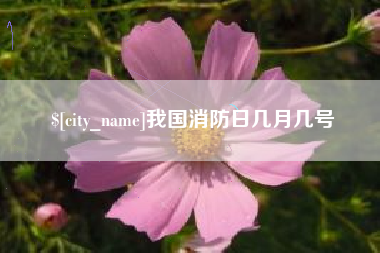 驻马店我国消防日几月几号