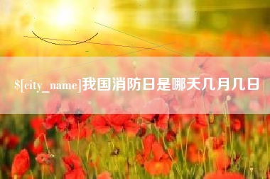 驻马店我国消防日是哪天几月几日