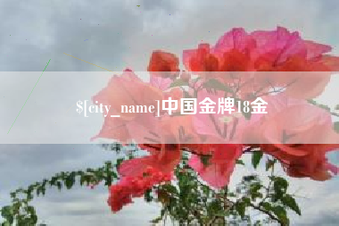 驻马店中国金牌18金
