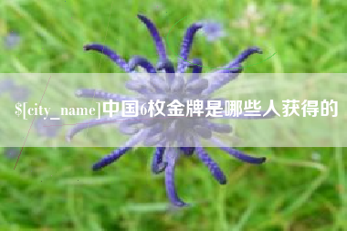 驻马店中国6枚金牌是哪些人获得的