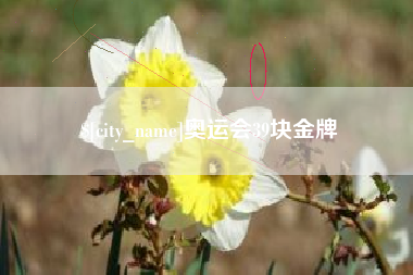 驻马店奥运会39块金牌