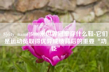 驻马店5000米世界冠军穿什么鞋-它们是运动员取得优异成绩背后的重要“功臣”