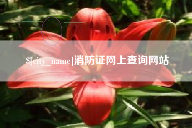 驻马店消防证网上查询网站