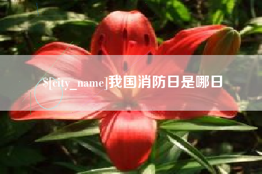 驻马店我国消防日是哪日