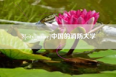 驻马店中国的消防大学