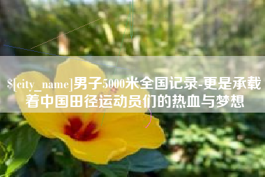 驻马店男子5000米全国记录-更是承载着中国田径运动员们的热血与梦想