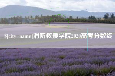 驻马店消防救援学院2020高考分数线