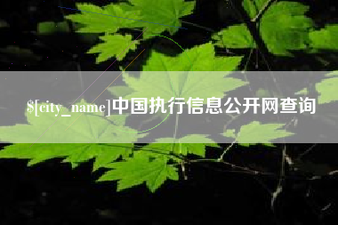 驻马店中国执行信息公开网查询