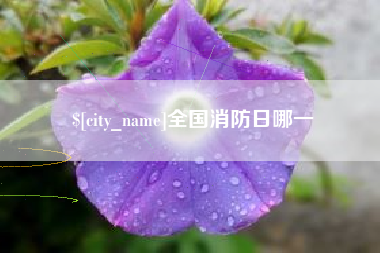 驻马店全国消防日哪一
