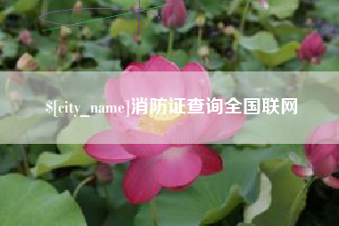 驻马店消防证查询全国联网