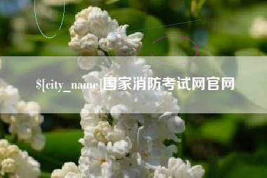 驻马店国家消防考试网官网