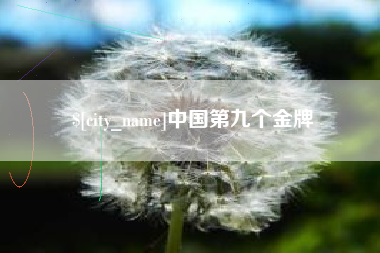 驻马店中国第九个金牌