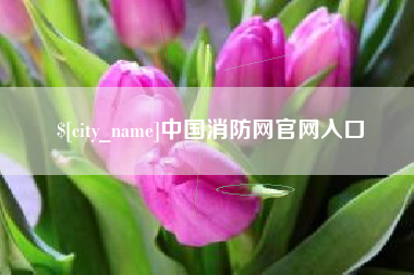 驻马店中国消防网官网入口