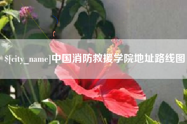 驻马店中国消防救援学院地址路线图