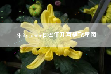 驻马店2022年九宫格飞星图