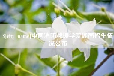 驻马店中国消防救援学院湖南招生情况公布
