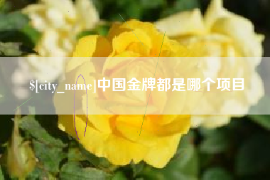 驻马店中国金牌都是哪个项目