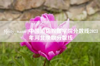 驻马店中国消防救援学院分数线2023年河北录取分数线