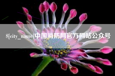 驻马店中国消防网官方网站公众号