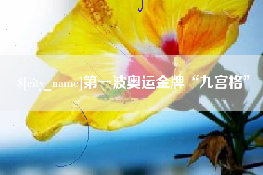 驻马店第一波奥运金牌“九宫格”