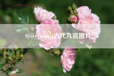 驻马店古代九宫图片