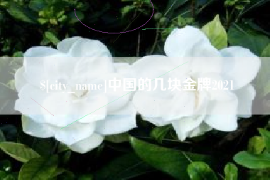 驻马店中国的几块金牌2021