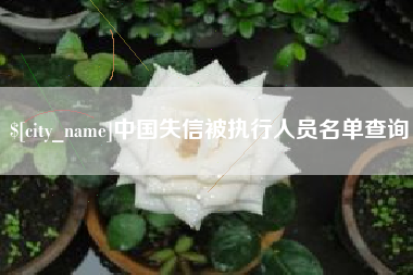 驻马店中国失信被执行人员名单查询