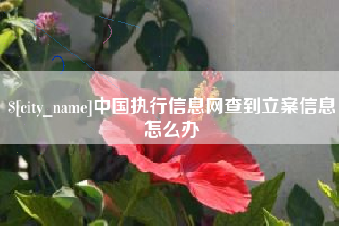 驻马店中国执行信息网查到立案信息怎么办