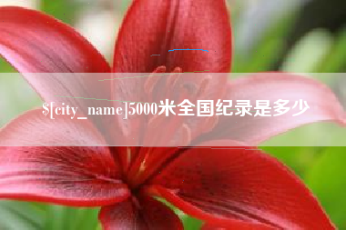 驻马店5000米全国纪录是多少