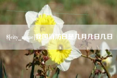 驻马店我国消防日是几月几日几日