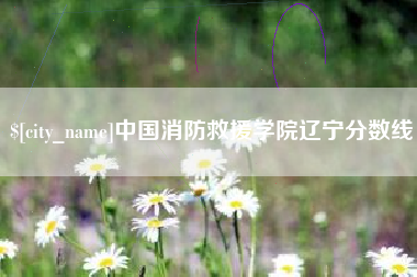 驻马店中国消防救援学院辽宁分数线
