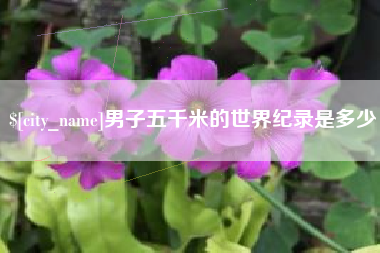 驻马店男子五千米的世界纪录是多少