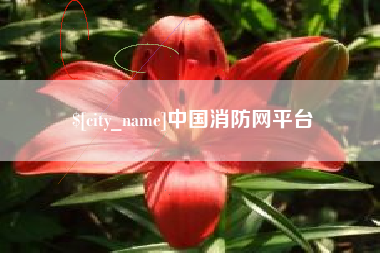 驻马店中国消防网平台
