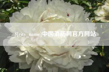 驻马店中国消防网官方网站