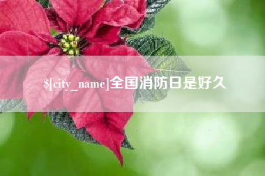 驻马店全国消防日是好久