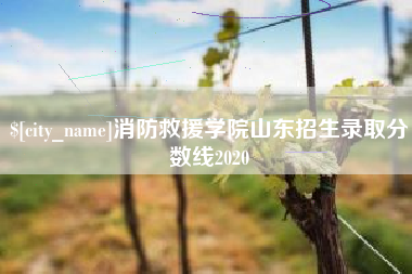 驻马店消防救援学院山东招生录取分数线2020
