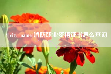 驻马店消防职业资格证书怎么查询