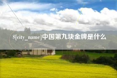 驻马店中国第九块金牌是什么