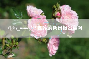 驻马店2021国家消防员报名官网
