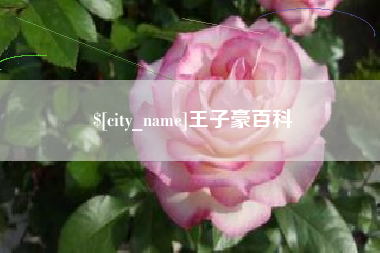 驻马店王子豪百科