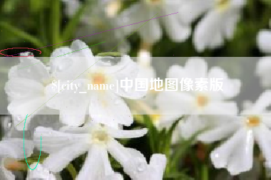 驻马店中国地图像素版