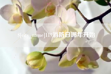 驻马店119消防日哪年开始